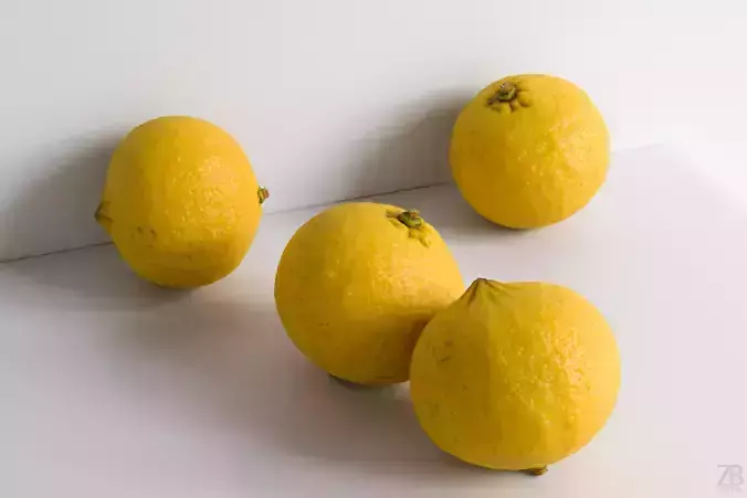 Bergamot 3D model