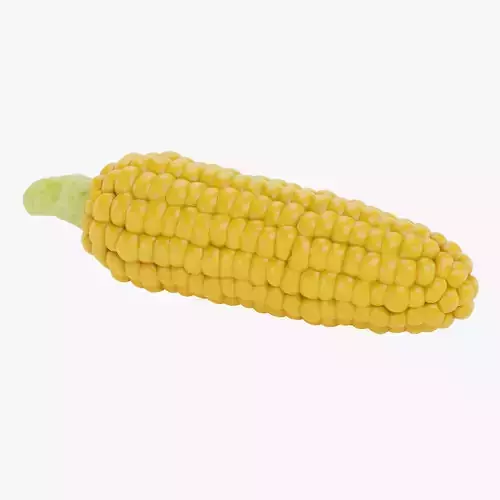 Corn V3 - Ear of Maize with Yellow Kernels 3D model