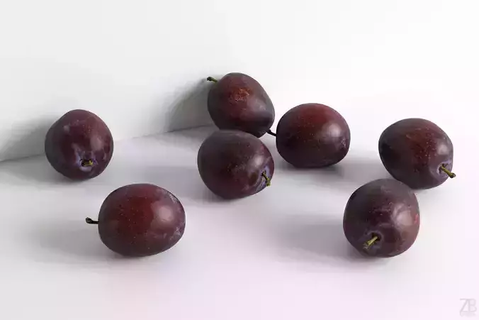 Plum  3D model