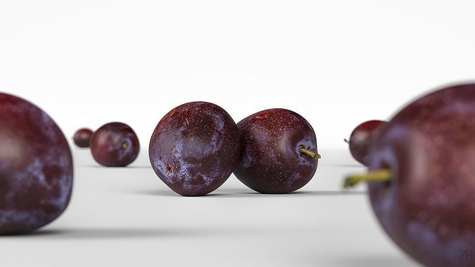 Plum  3D model 2