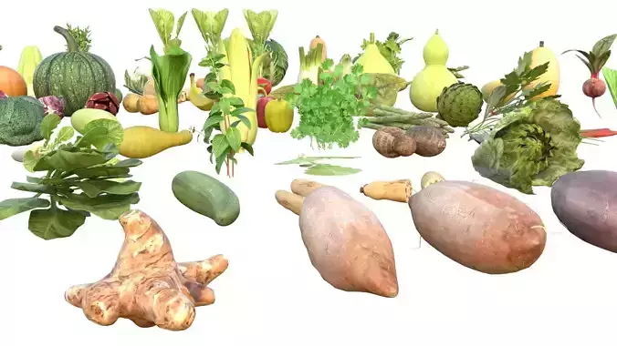 Vegetable 3d model collection  Low-poly 3D model 3