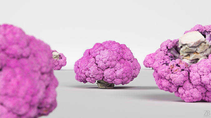 Broccoli Low-poly 3D model 2