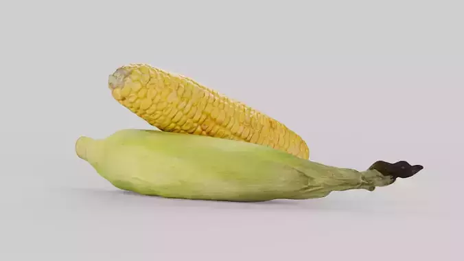 Corn Bundle 3D Model Pack