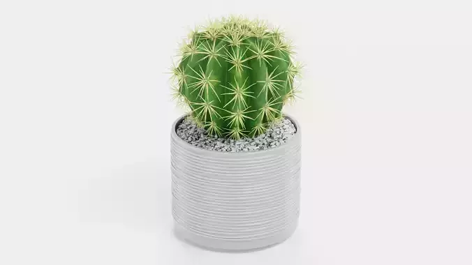 Golden Barrel Cactus in Pot Low-poly 3D model