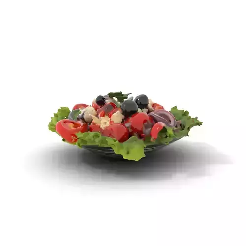 Greek Salad Freshness model pack Low-poly 3D model