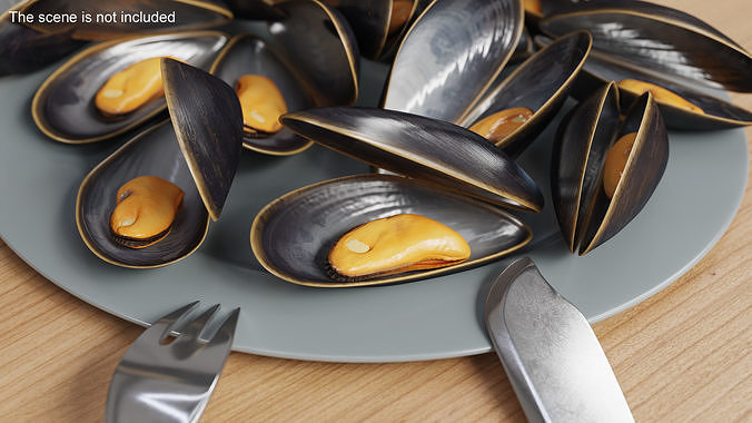 Boiled Sea Mussel 3D model 2