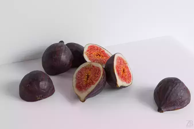 Fig   Low-poly 3D model