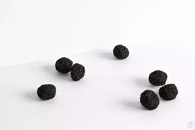 Truffle 3D model