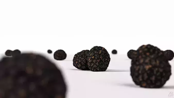 Truffle 3D model 2