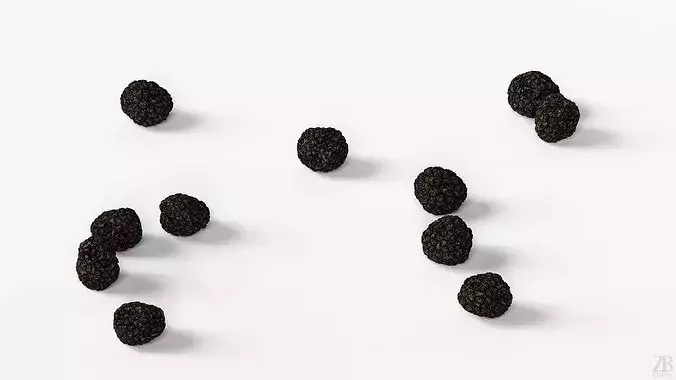 Truffle 3D model 3