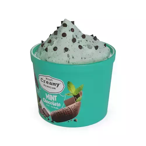 Ice cream tubs Mint Chocolate Chip Ice Cream Tub 3D model
