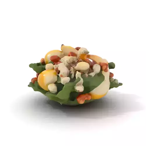 Pear Walnut Salad Model Pack Low-poly 3D model