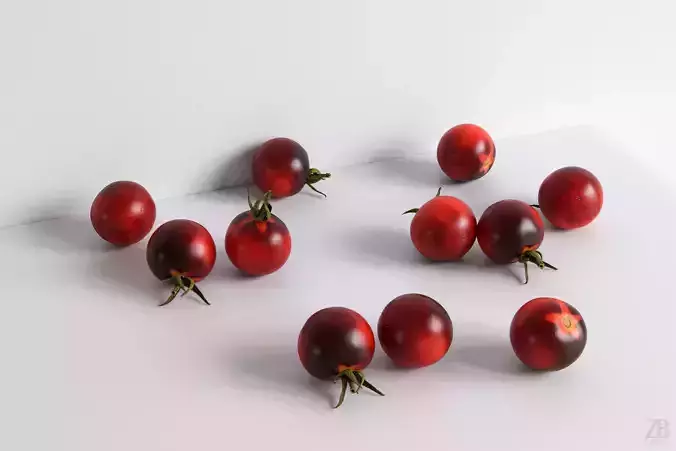 Tomato 3D model