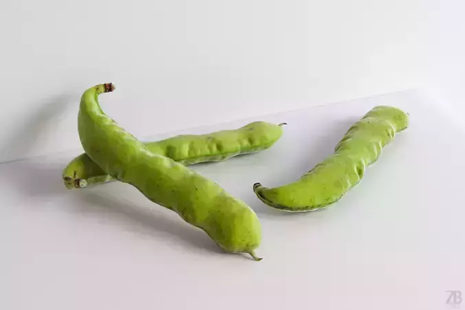 Bean pod 3D model