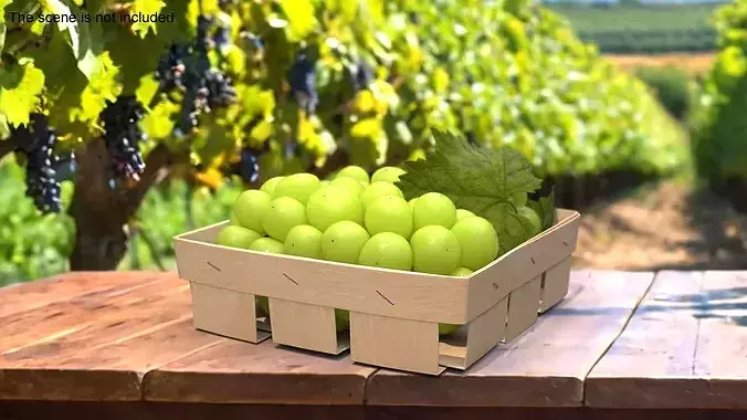 Shine Muscat Grape in Basket 3D model 3
