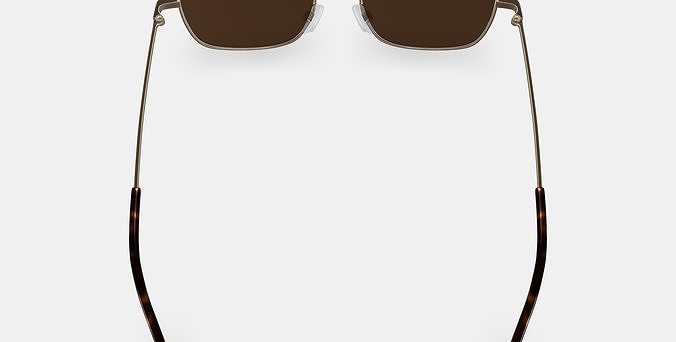 Eloisa Sunglasses in Riesling 3D model 3