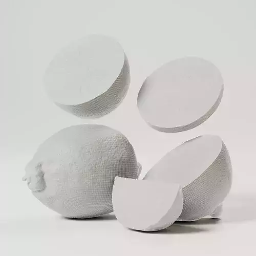 Lemon 3D model 2