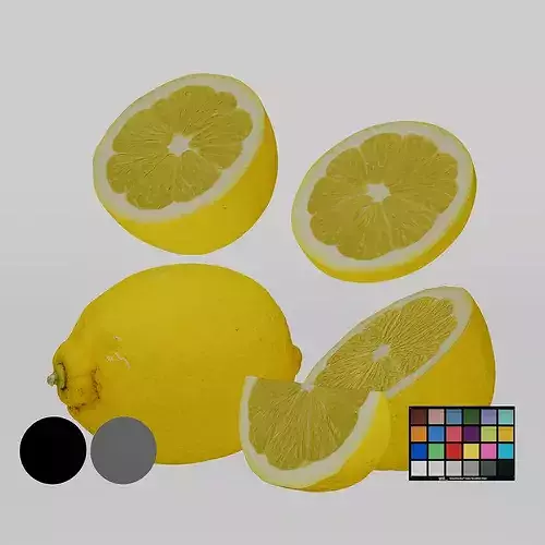 Lemon 3D model 3